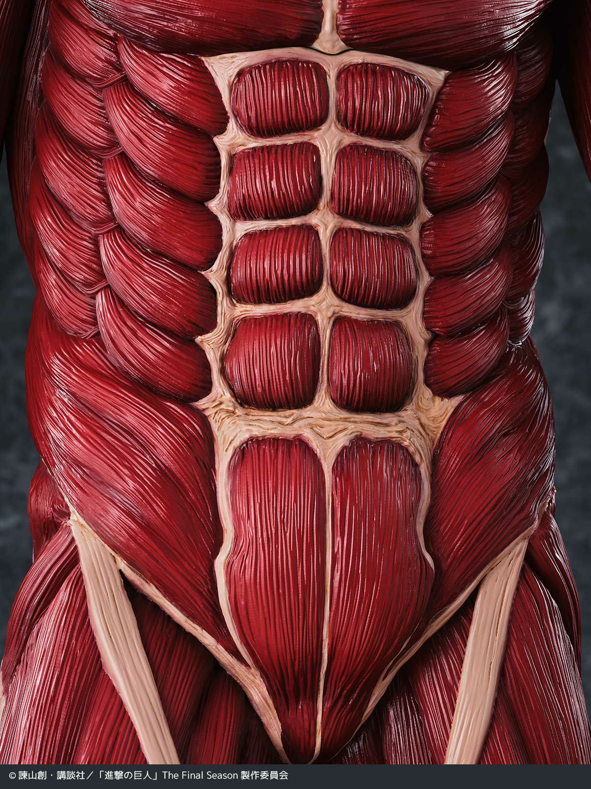 000000001349-10-xl.jpg