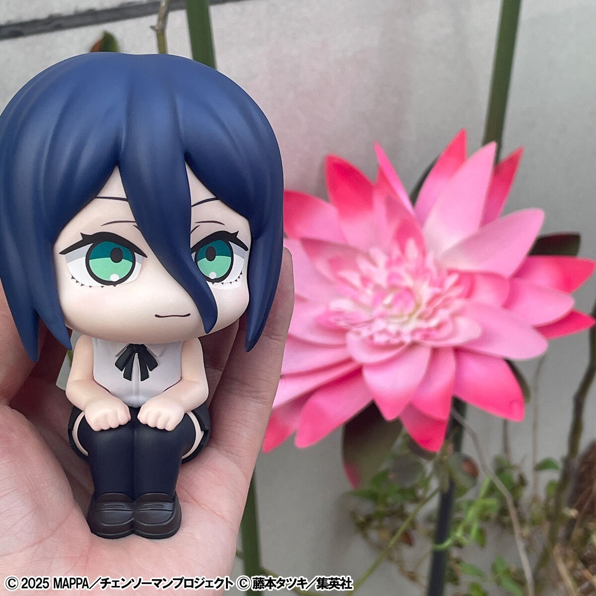 imgi_135_1000235320_24.jpeg