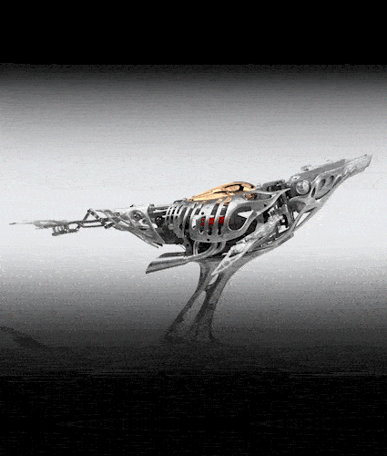 06.gif