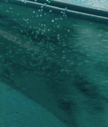 08.gif