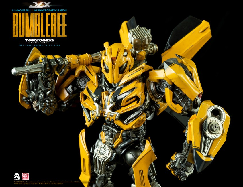 imgi_29_TF5_DLX_BumbleBee_09.jpeg