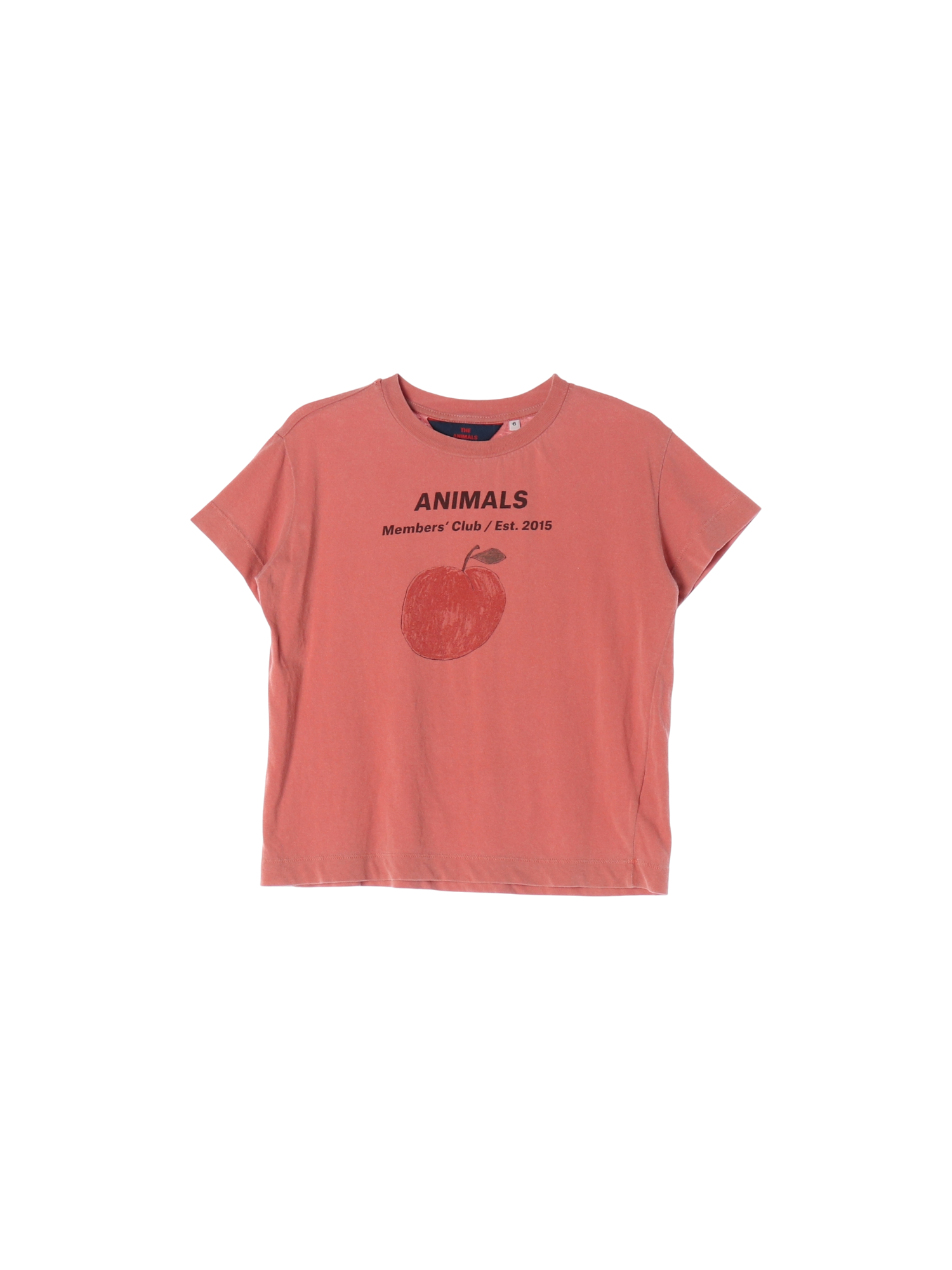 타오 롤업 핑크 티셔츠 6y 0