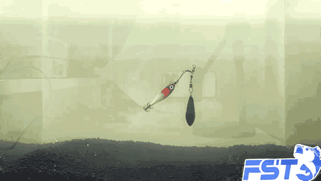 3.gif