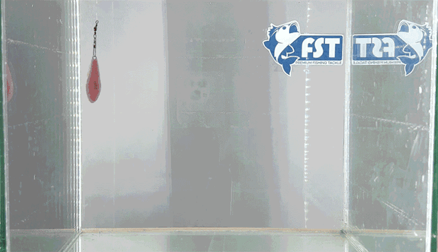 11-1.gif