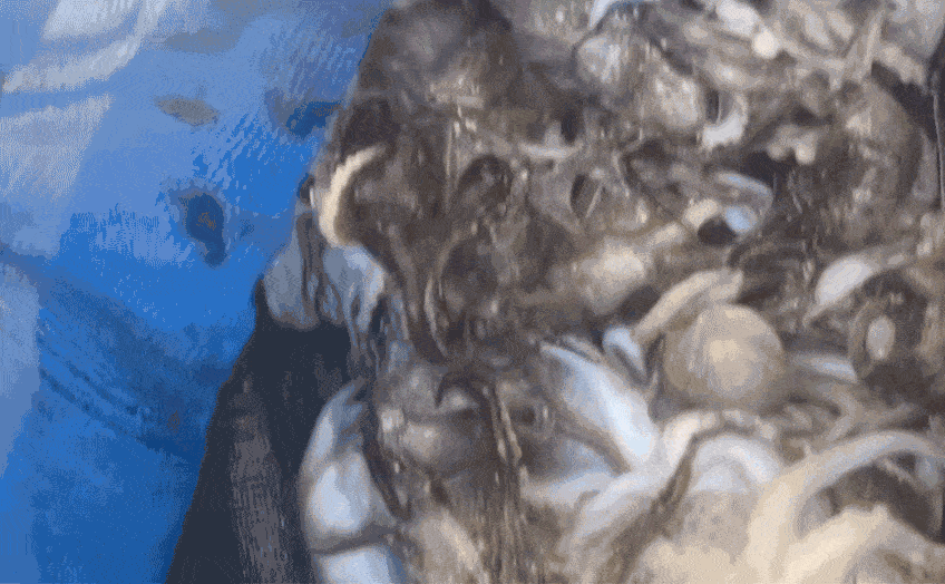 5.gif
