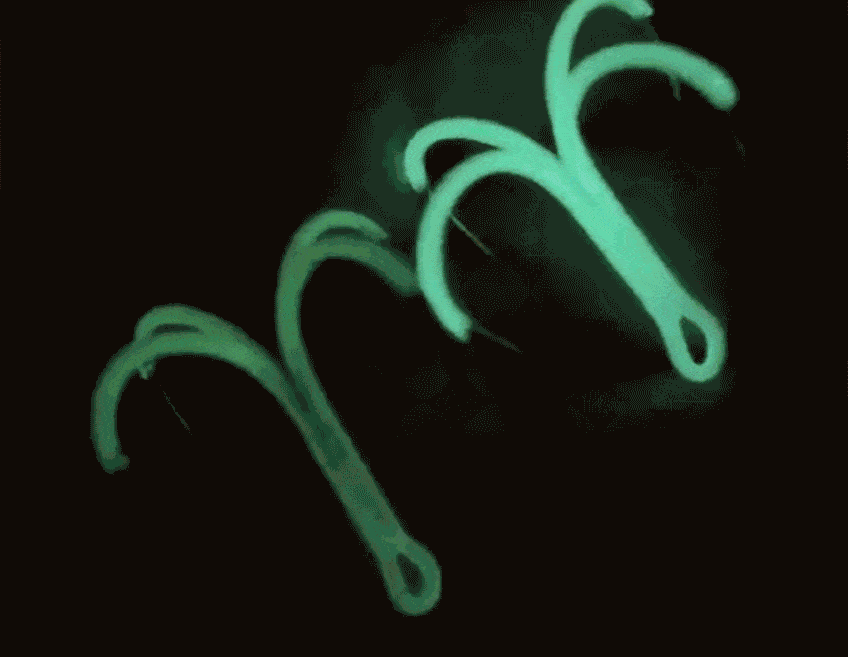 11.gif