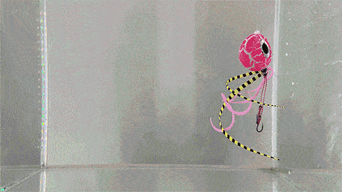 1.gif