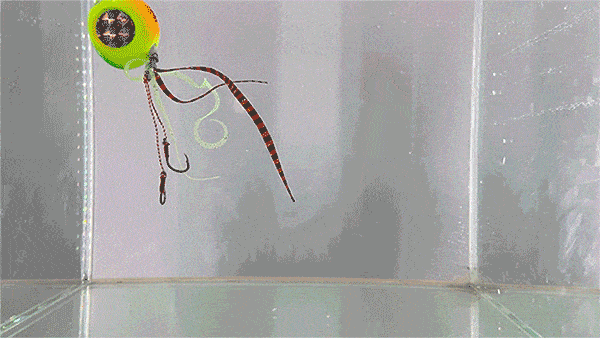 2.gif