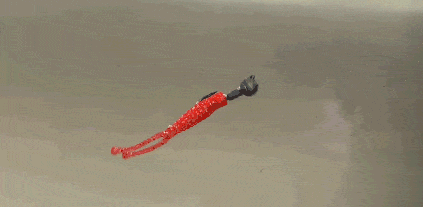 17.gif