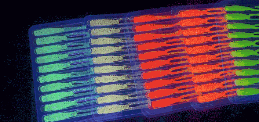 8.gif