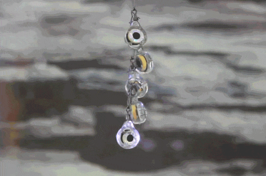 10.gif