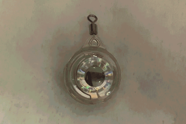 16.gif