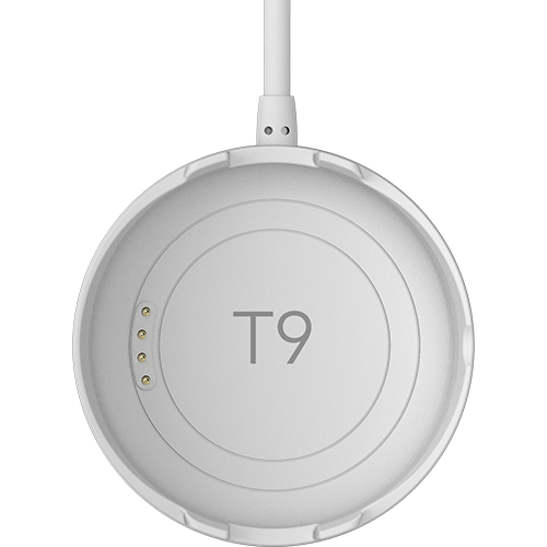 T9 충전독