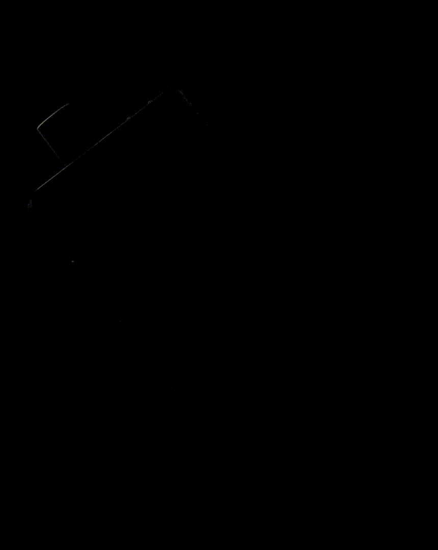 MALONE-D_06.gif