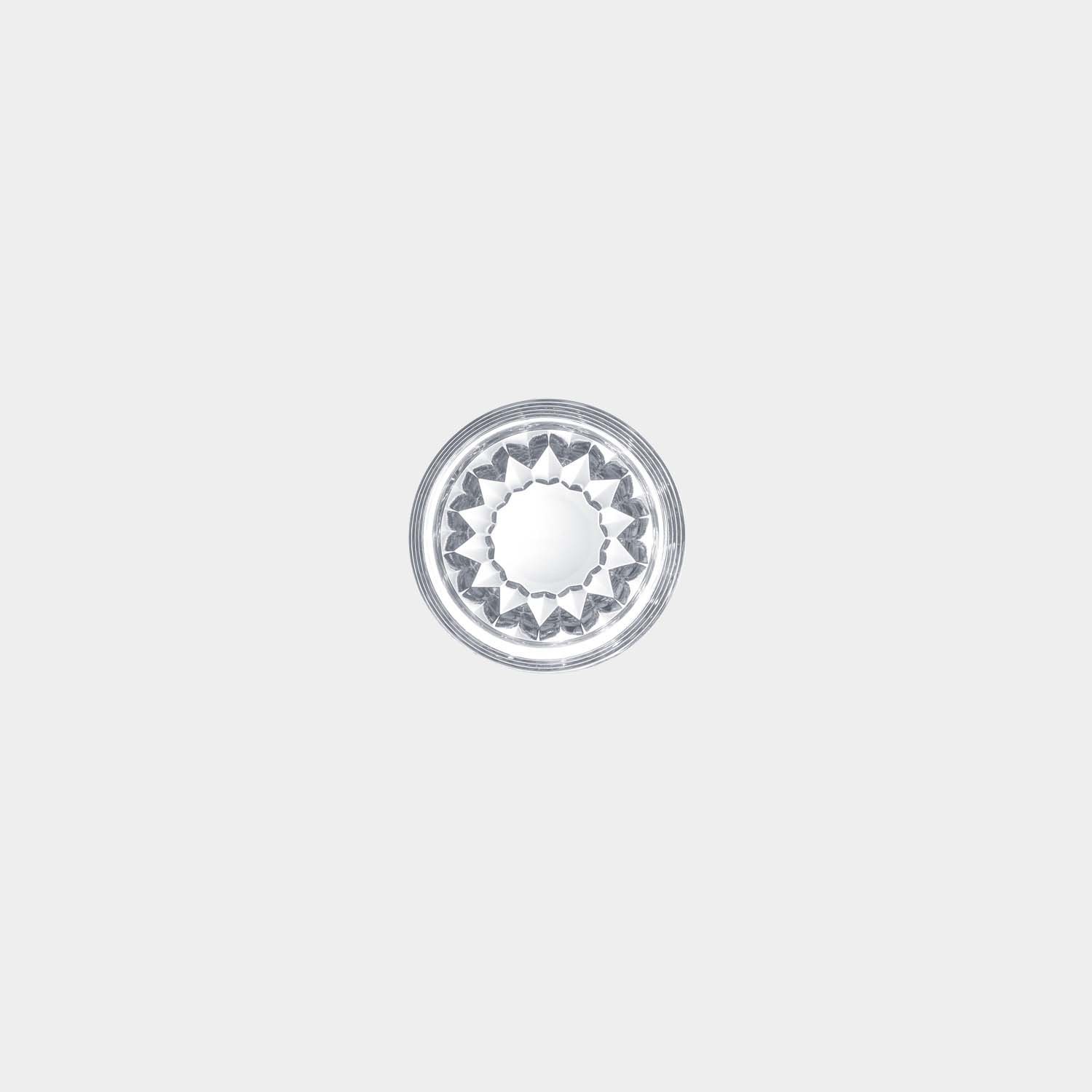 sl_folia_15035100_shot_03_205452.jpg
