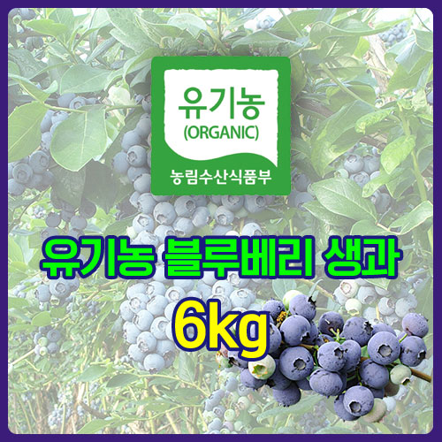유기농 블루베리 생과 6kg