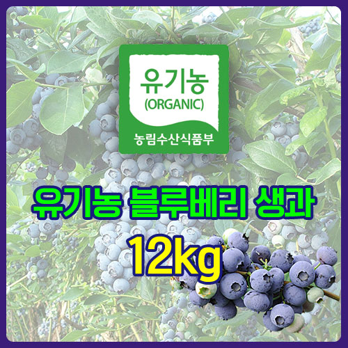 유기농 블루베리 생과 12kg