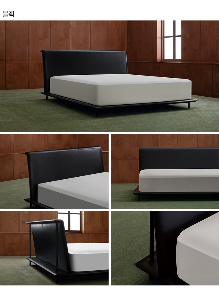 Plaic_detail.png