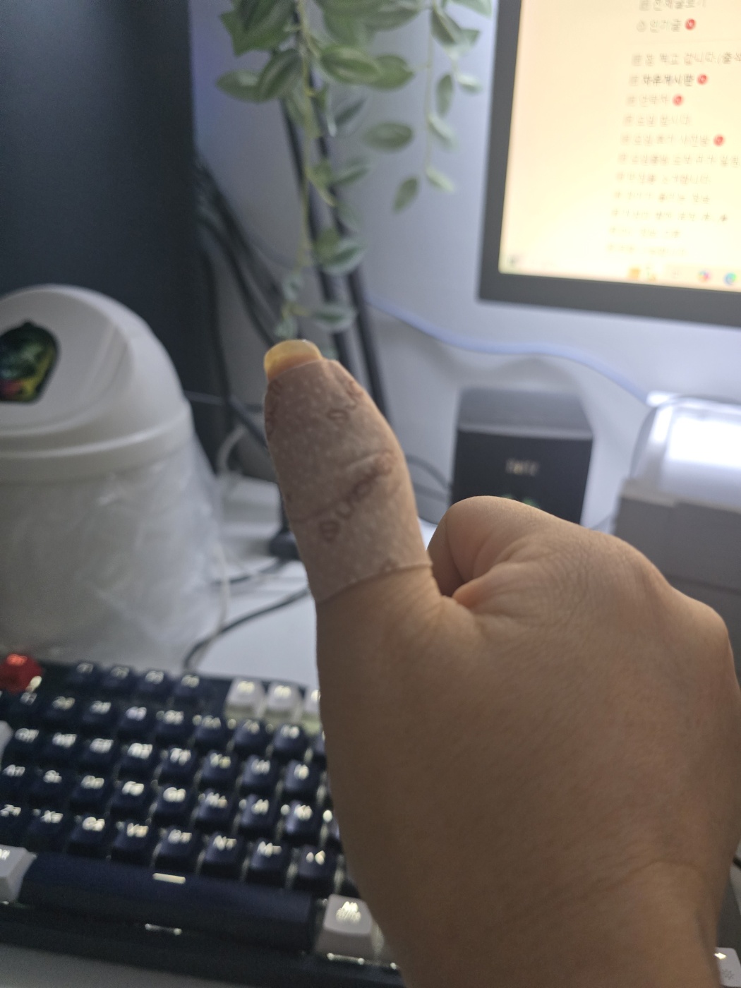 상품후기 이미지