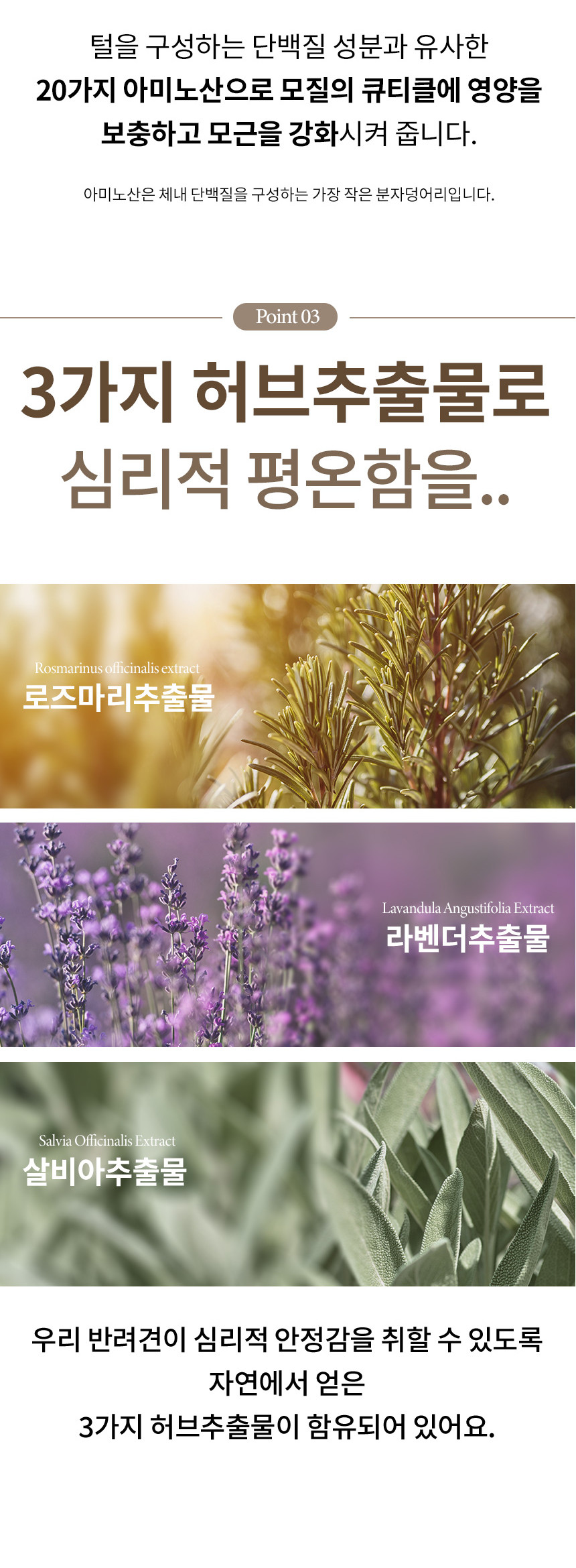 fe4f9e55cc0267b40b1a9b1ed1910693_230039.jpg
