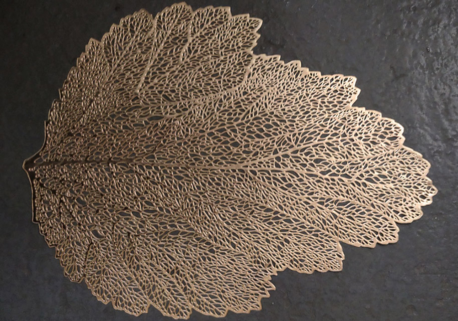 1710_15819512444474_150245.jpg