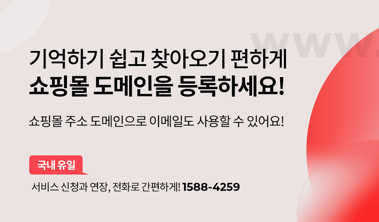후이즈 도메인