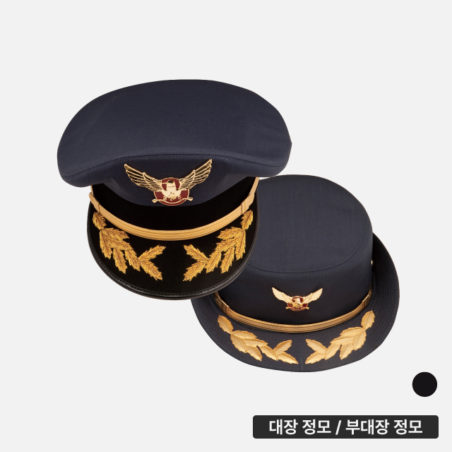 (의) 정모