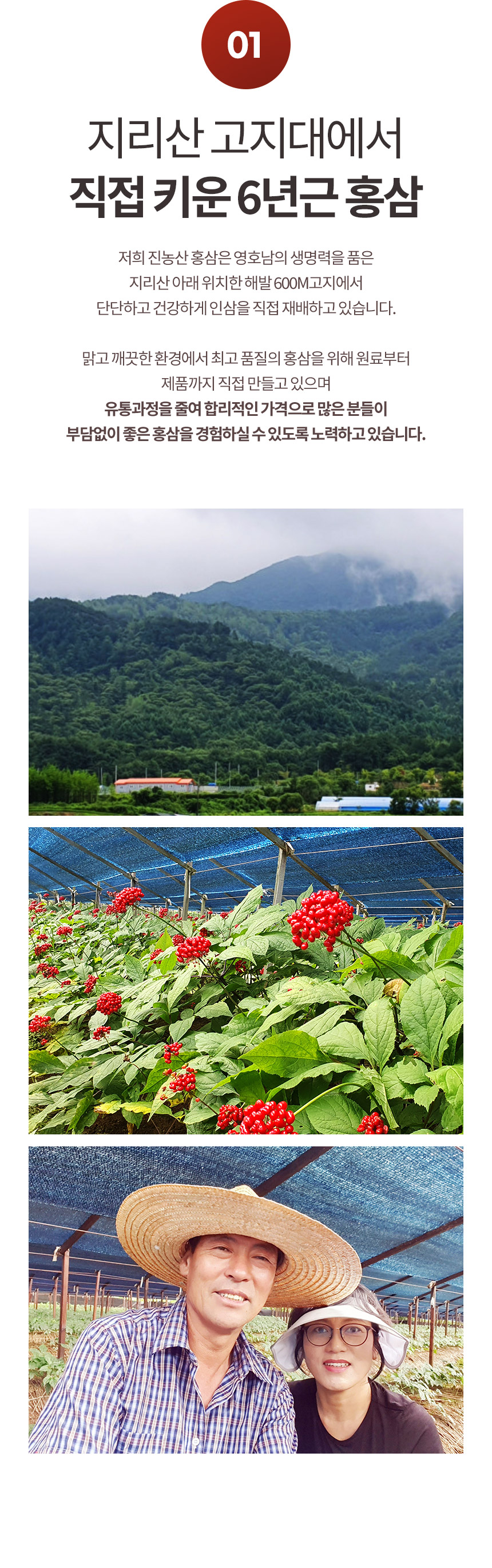 홍삼_02