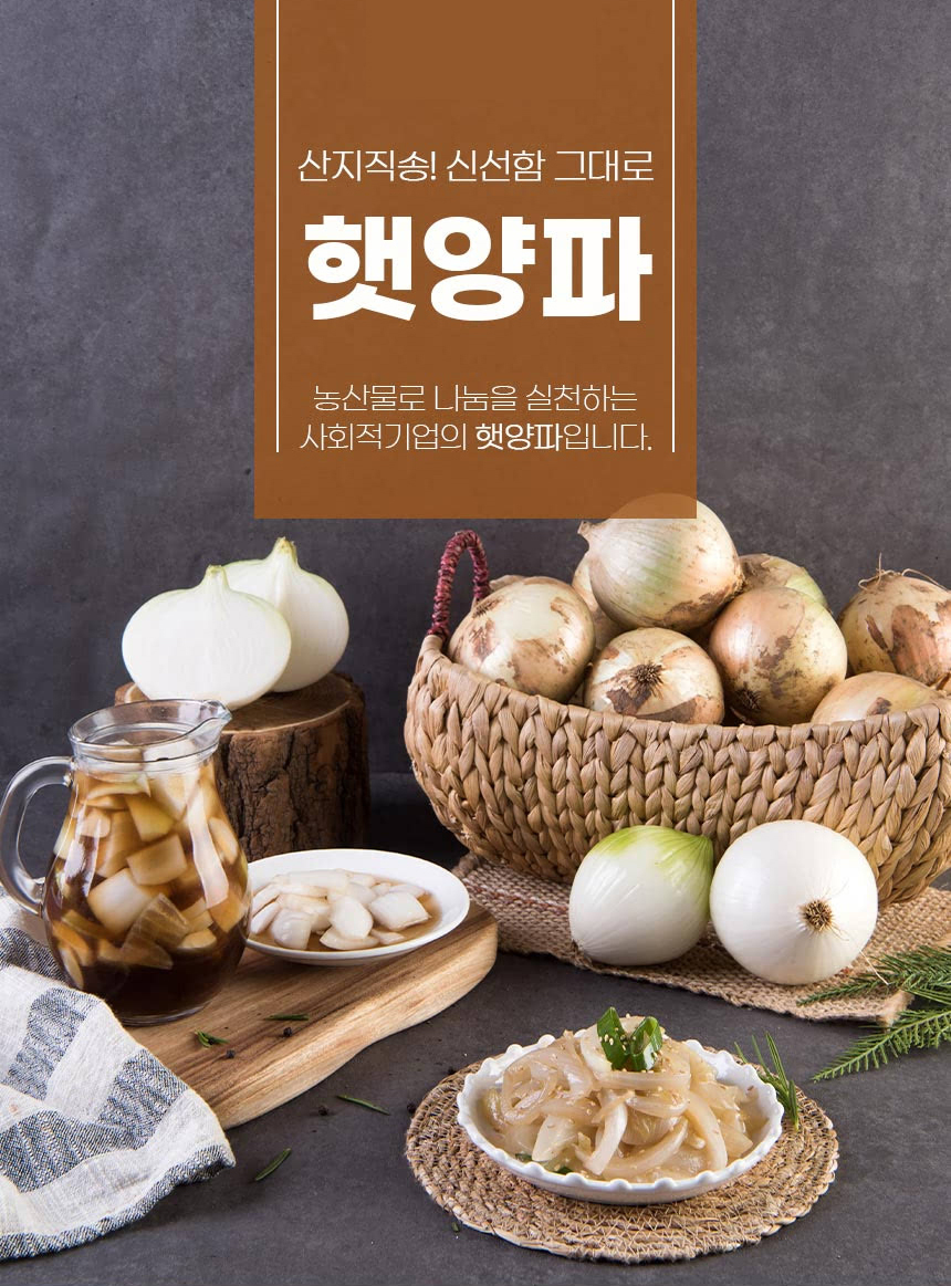 양파-(1)