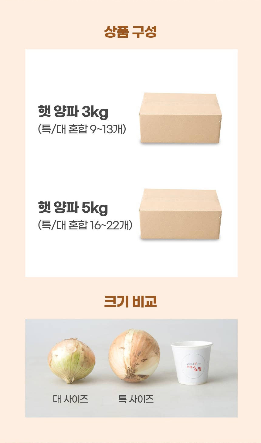 양파-(2)