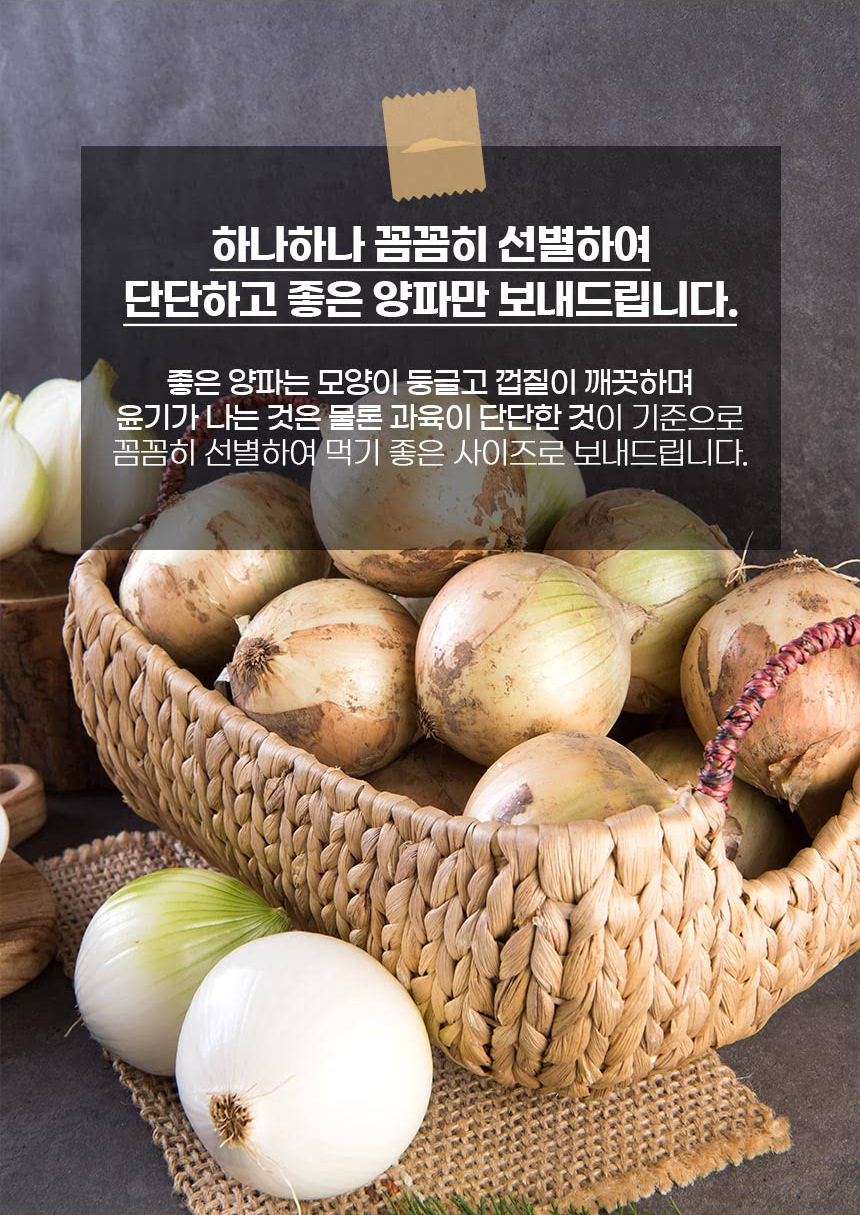 양파-(3)