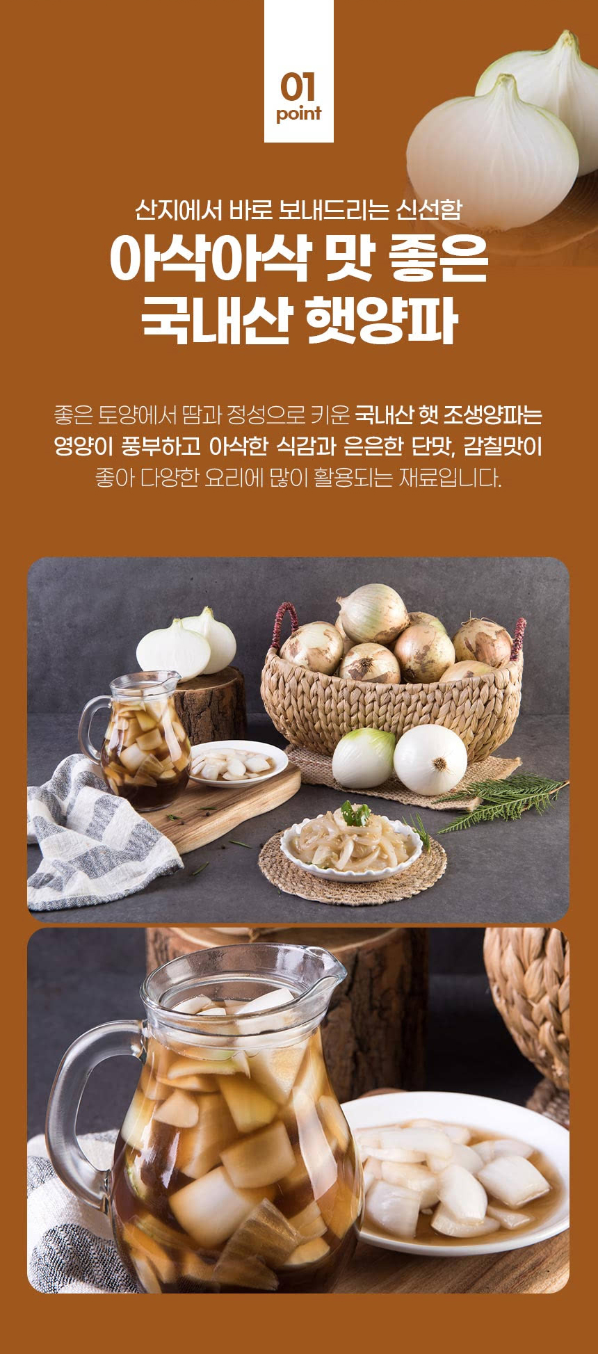 양파-(4)