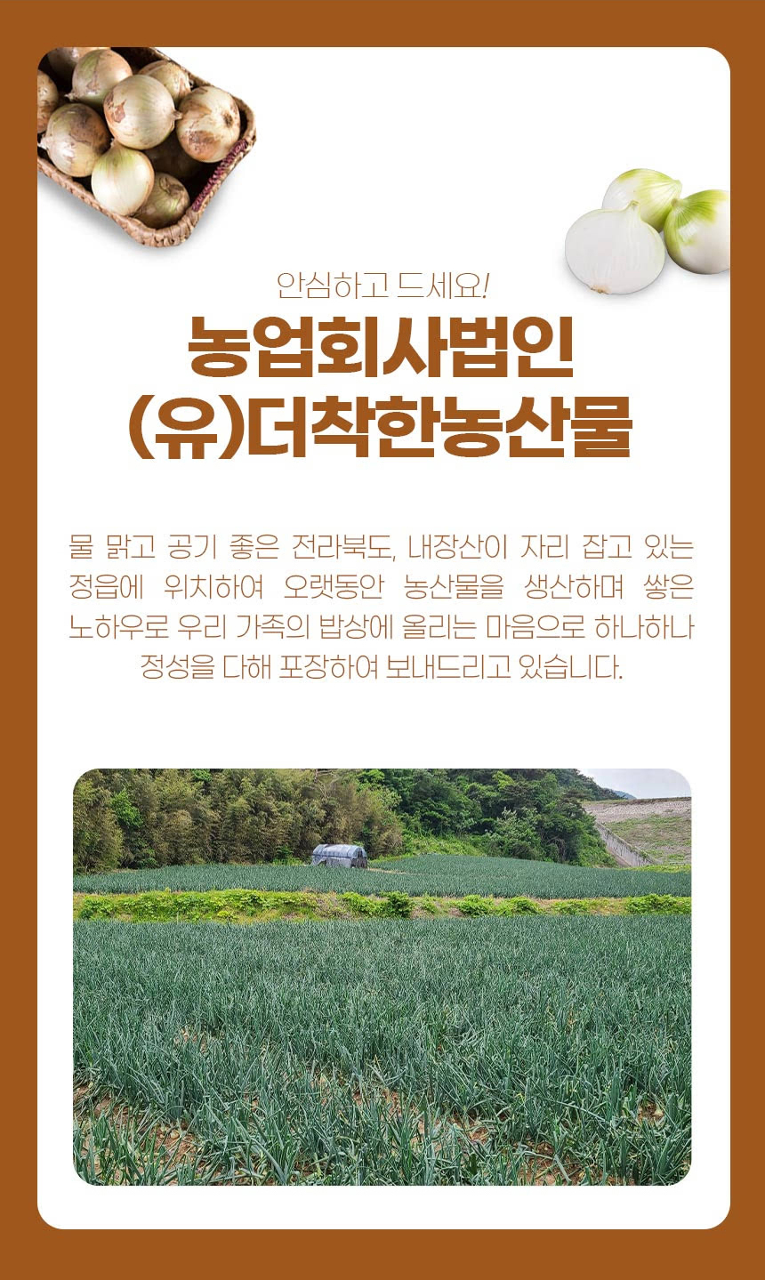 양파-(6)