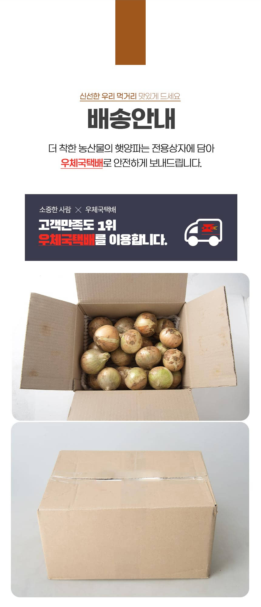 양파-(10)