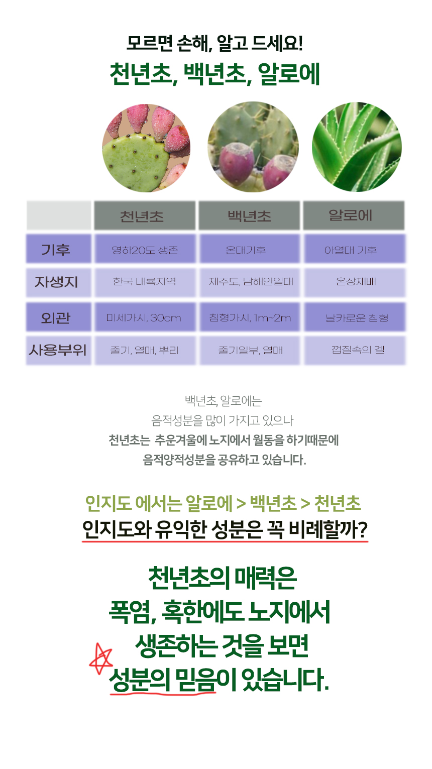 공통_천년초백년초비교