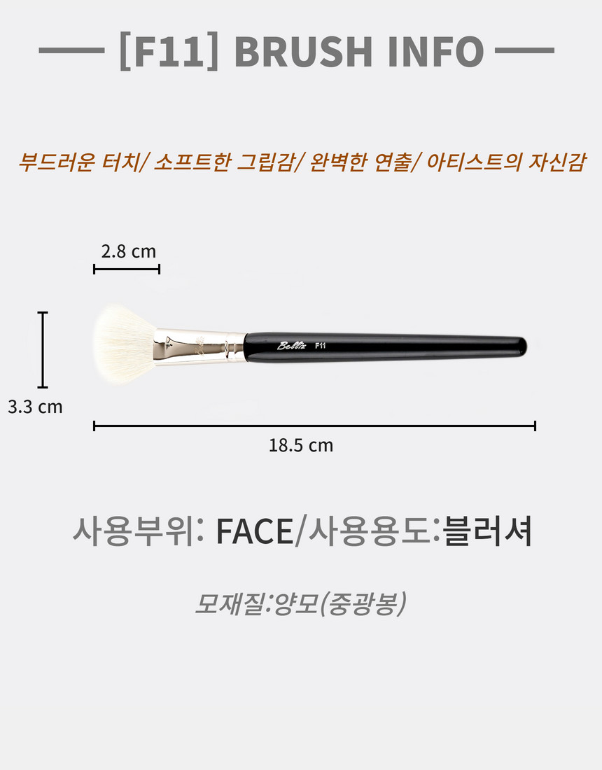 F11_info
