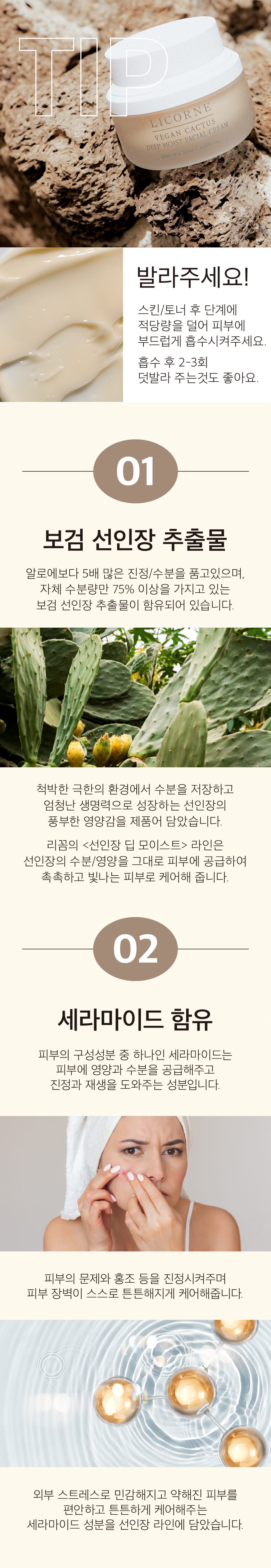 대지 2