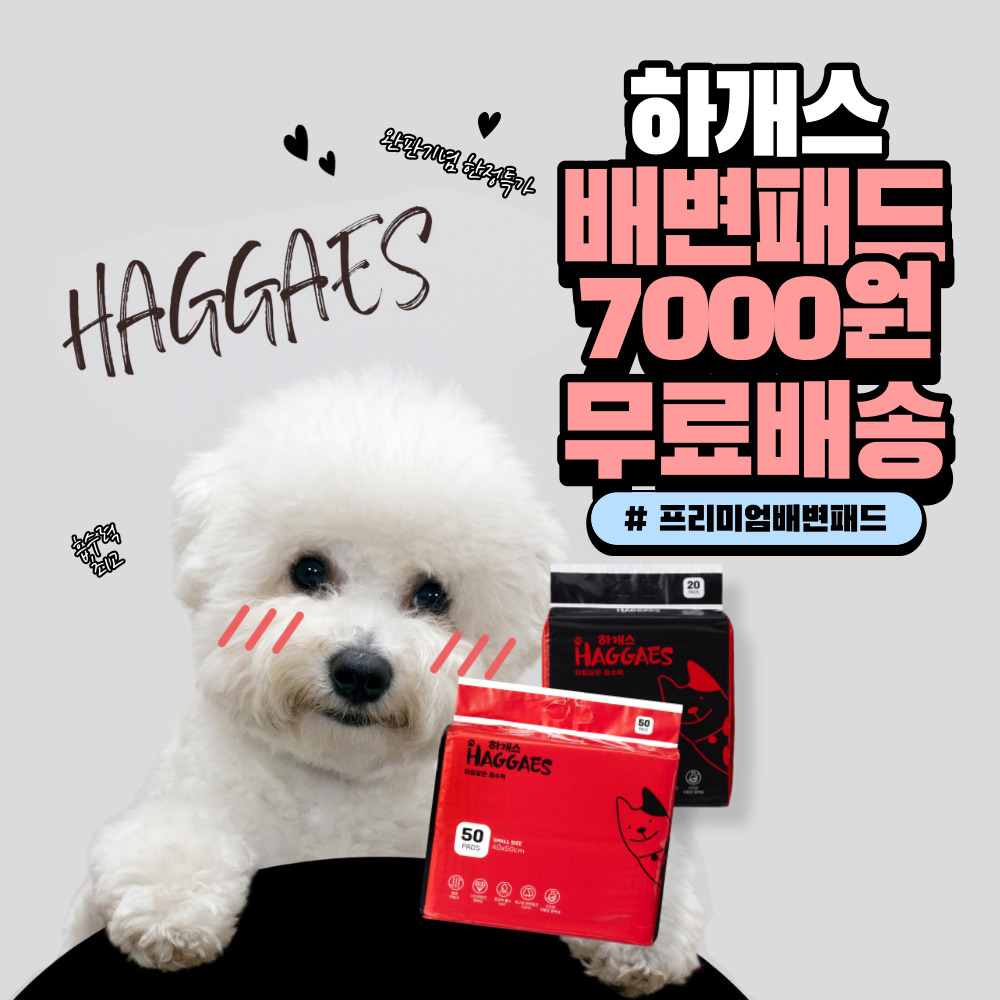 하개스 배변패드 특가