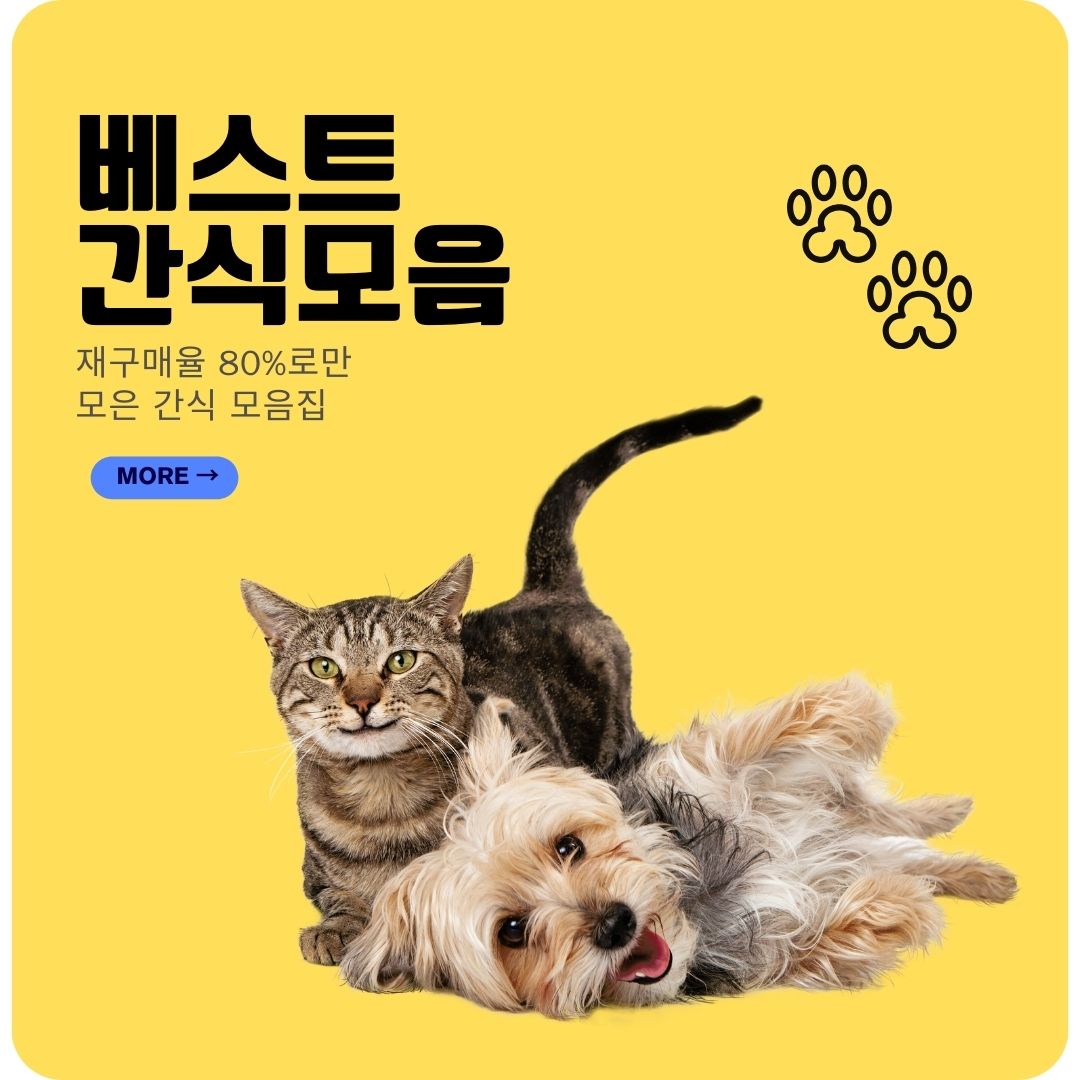 일반 배너 - 메인 중간 배너 4