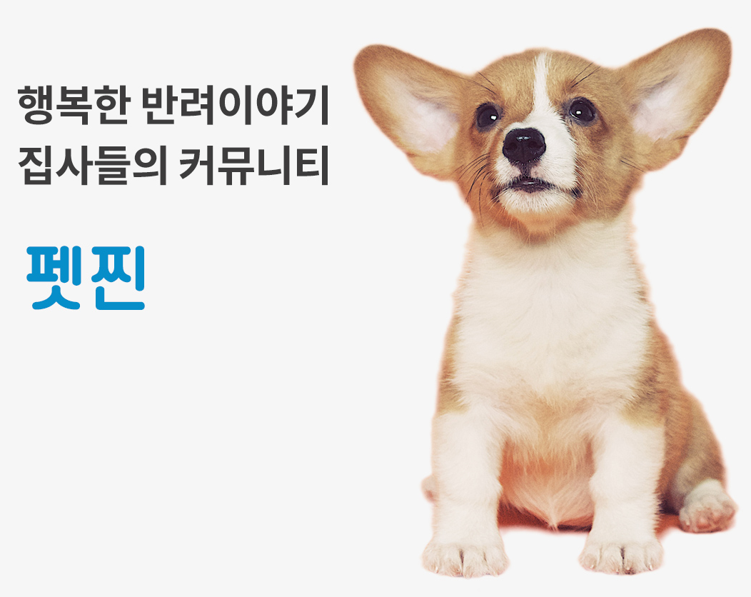 일반 배너 - PC 배경 좌측 배너