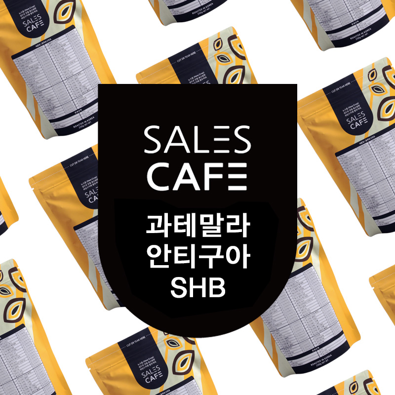 [1kg]과테말라 안티구아 SHB 원두커피(500g*2팩 포장)(SROC050CI0500A02)