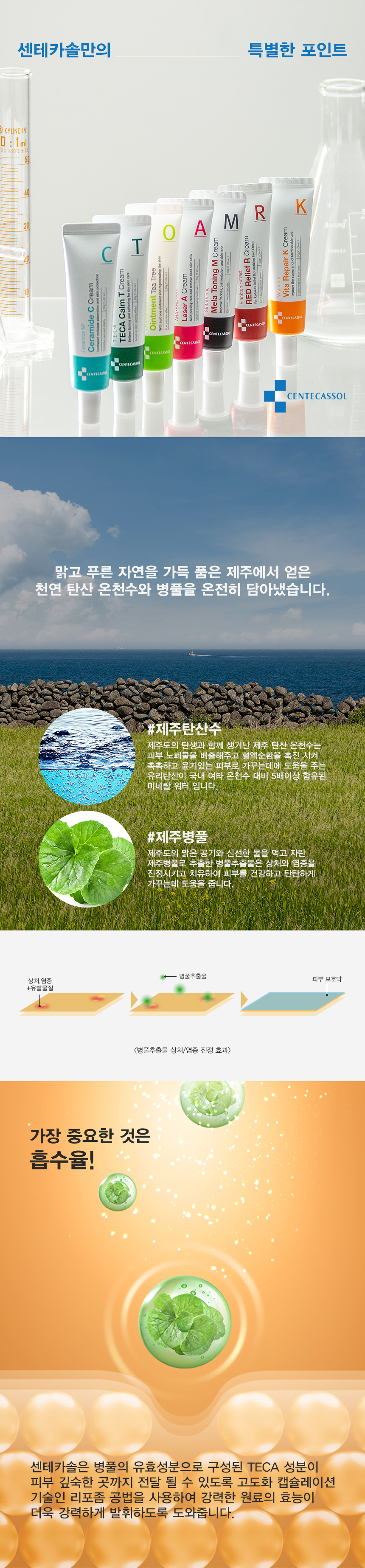 (상세페이지)센테카솔공통_상.jpg