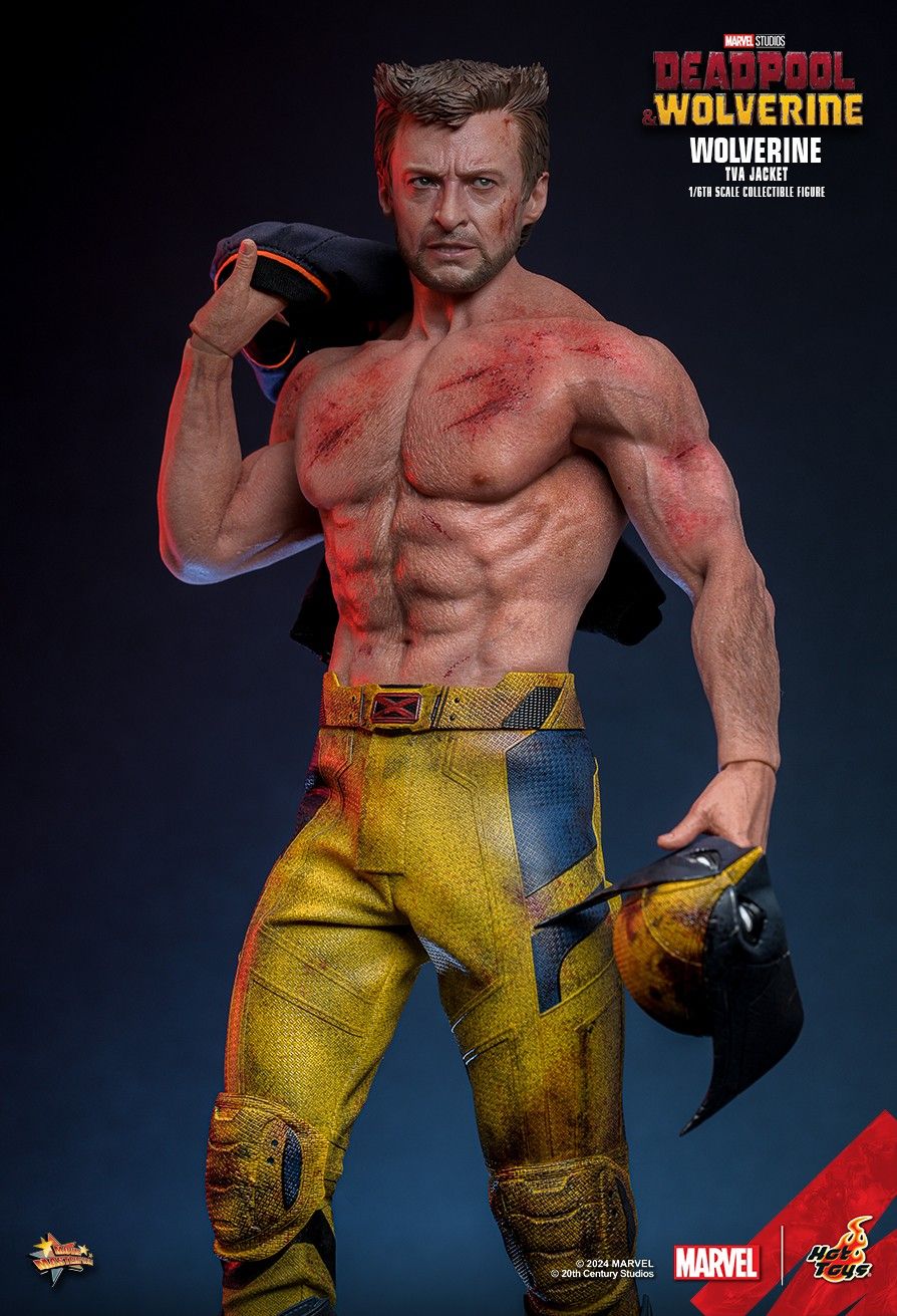 데드풀과 울버린 - 울버린 TVA 자켓 버전 1/6 스케일 MMS756 핫토이 Hottoys
