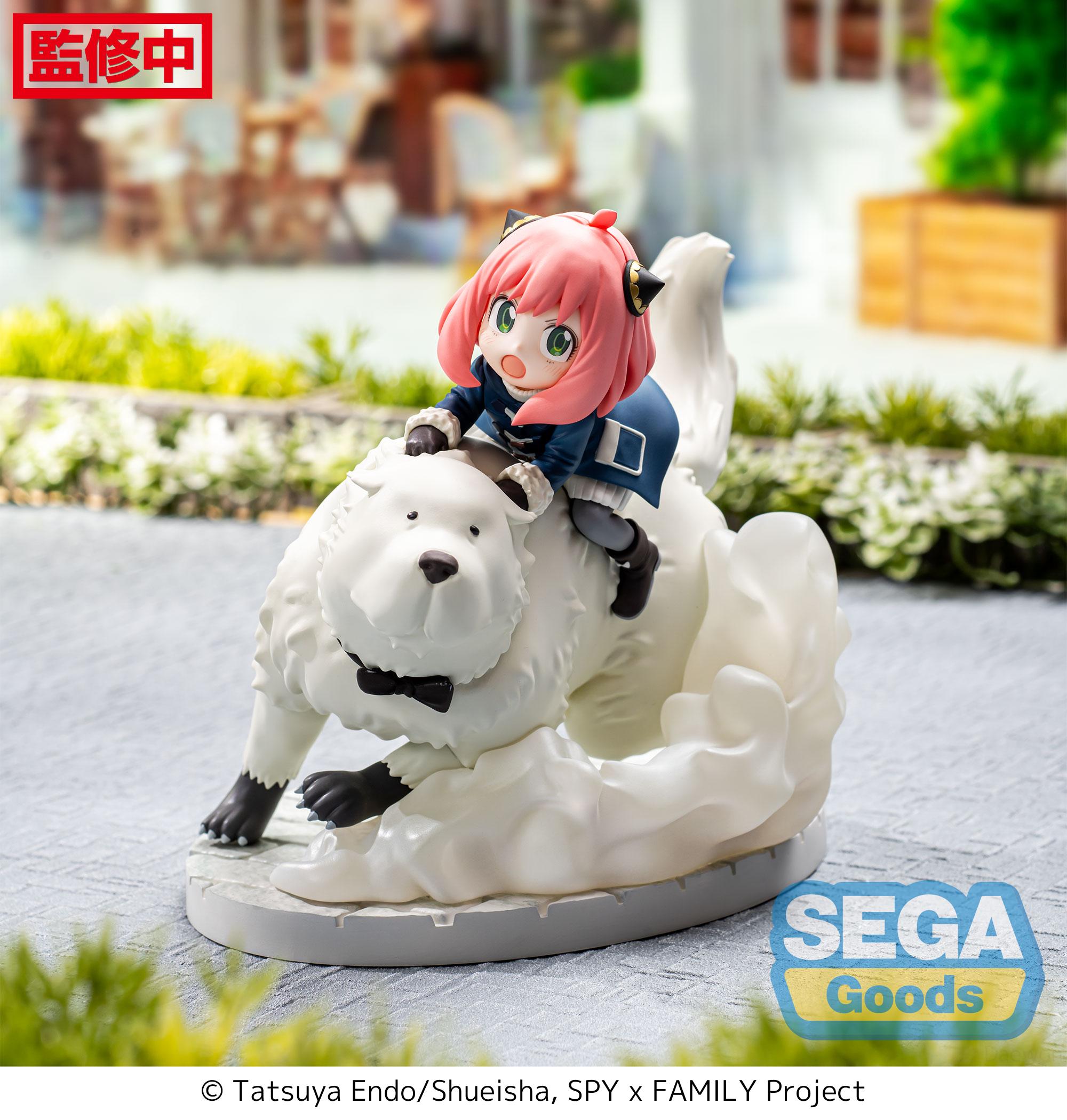 sg_203.jpg