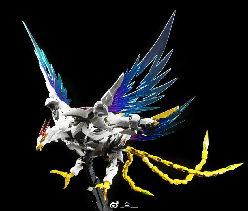 163.jpg