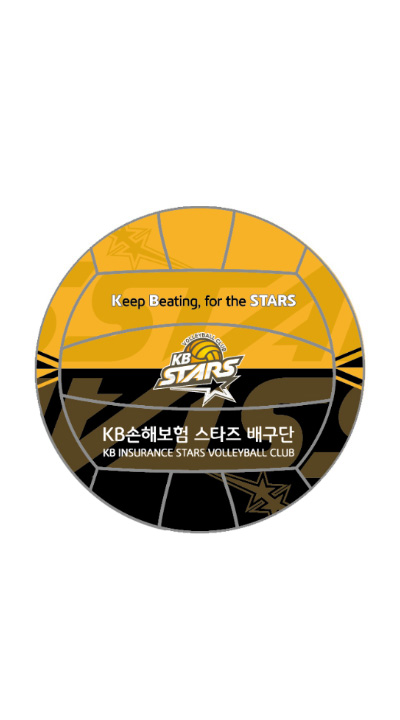 KB STARS 2024-25시즌 로고볼