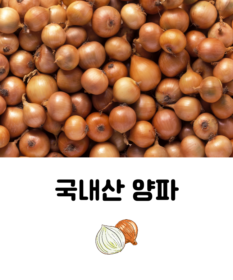 KakaoTalk_20241206_171349551.png