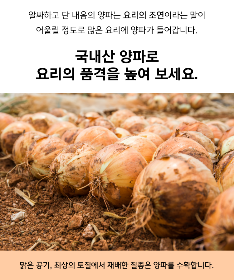 KakaoTalk_20241206_171349551_03.png