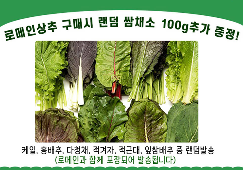 굼1.jpg