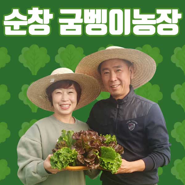 [굼뱅이농장 쌈채소] 순창명품 로메인 상추 400g + 랜던 쌈채소 100g